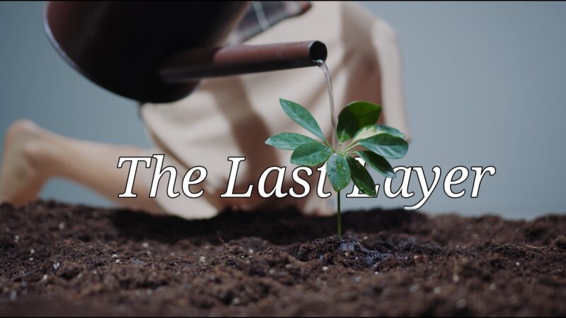 TheLastLayer-800×450